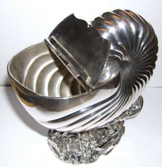 Victorian Silver Plated Nautilus Shell Spoon Warmer Roberts & Belk 6