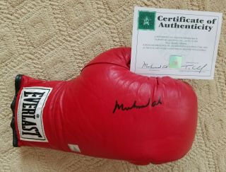 Muhammad Ali Signed Everlast 16 Oz Glove Superstar Greetings Rare
