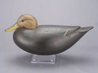 OUTSTANDING HOLLOW BLACK DUCK DECOY BY MARTY COLLINS OF WAREHAM,  MA 2