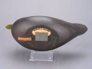 OUTSTANDING HOLLOW BLACK DUCK DECOY BY MARTY COLLINS OF WAREHAM,  MA 4
