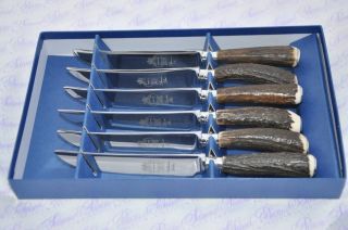 Six Rare Sambar Stag/antler Handle Steak Knives Silver Ferruled Boxed Sheffield