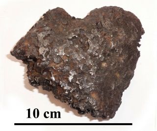 Rare Meteorite Sericho,  Pallasite,  Kenya,  Complete Cleaned Piece,  712 Grams