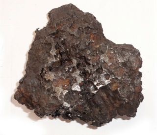 RARE Meteorite Sericho,  pallasite,  Kenya,  complete cleaned piece,  712 grams 2