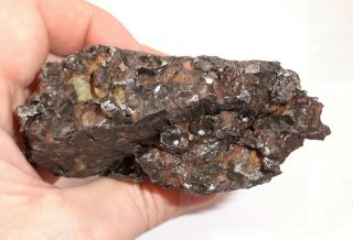 RARE Meteorite Sericho,  pallasite,  Kenya,  complete cleaned piece,  712 grams 3