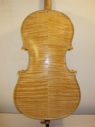 Rare Five - String 18.  5 Inch Baby Cello - Custom Made 2009 - 