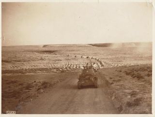 World War Ll Column Of Italian Army Tanks Rolling Through Egypt C.  - 1940