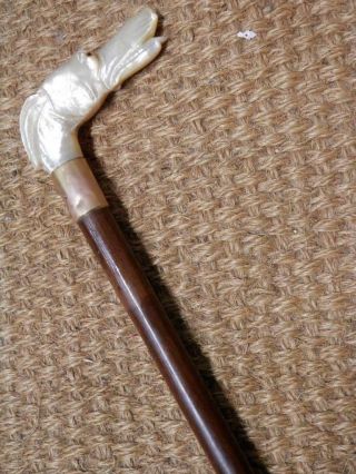Antique Walking Stick - Mother Of Pearl Dog Handle 18 - Carat Gp 