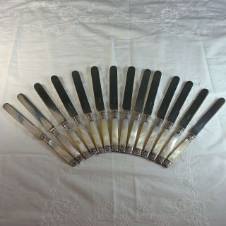 Fourteen Vintage Mother Of Pearl And Silverplate Handled Knives 9 "