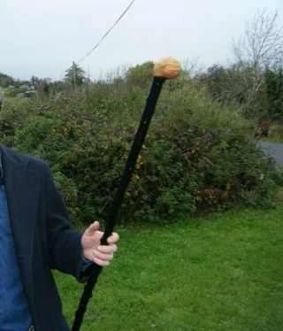 Authentic Irish Blackthorn Walking Stick / Shillelagh / Outstanding