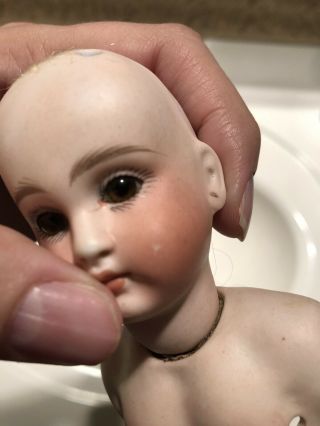 Stunning French Or French Market Bisque Doll Head With Molded Bru Type Chest 11