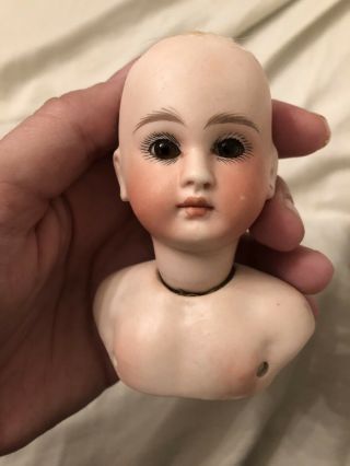 Stunning French Or French Market Bisque Doll Head With Molded Bru Type Chest 2