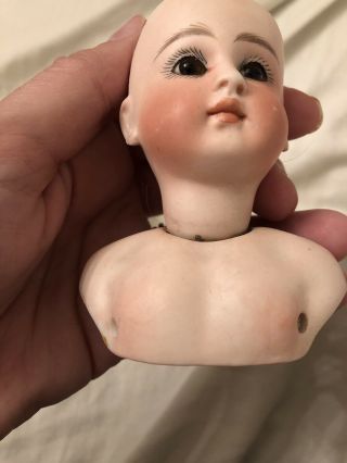 Stunning French Or French Market Bisque Doll Head With Molded Bru Type Chest 3