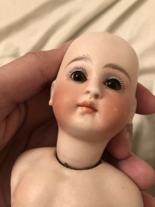 Stunning French Or French Market Bisque Doll Head With Molded Bru Type Chest 4