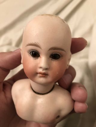 Stunning French Or French Market Bisque Doll Head With Molded Bru Type Chest 8