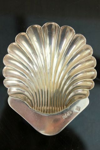 Antique London Solid Silver Scallop Shell Butter Dish Circa 1902 3