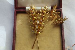 Early Donald Simpson Golden Wheat Brooch & Earrings Box 3