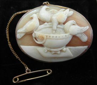 Fab Victorian Antique 9ct Gold Carved Shell Cameo Brooch Pin Bird Feeder / Bath