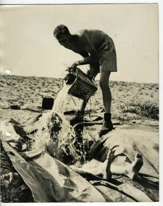 Ww2 Orig.  Photo - Mareth Shower Bath After Battle North Africa