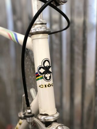 Vintage 1980’s Ciocc Steel Road Bike Campagnolo 56cm TT 2