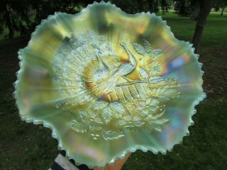 Northwood Peacocks Antique Carnival Art Glass Ruffled Bowl Aqua Opalescent