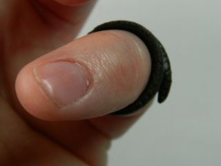 Roman Romano british bronze snake ring artefact metal detecting detector 4