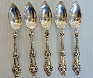 5 Sterling Silver Citrus Spoons W/ Floral Handles,  Alvin 1905 " Orange Blossom "