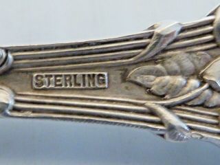 5 STERLING SILVER CITRUS SPOONS W/ FLORAL HANDLES,  ALVIN 1905 