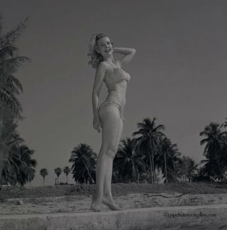 Bunny Yeager Bathing Beauty Pin - Up Camera Negative Blonde Dottie Sykes