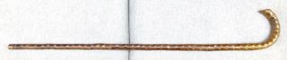Vintage Antique 1800 ' Irish Blackthorn Crook Handle Walking Stick Cane Old 10
