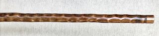 Vintage Antique 1800 ' Irish Blackthorn Crook Handle Walking Stick Cane Old 11