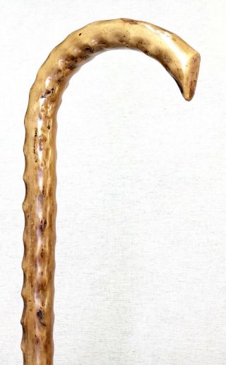 Vintage Antique 1800 ' Irish Blackthorn Crook Handle Walking Stick Cane Old 2