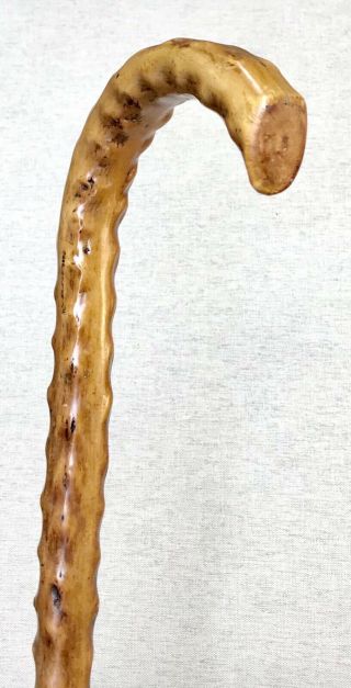 Vintage Antique 1800 ' Irish Blackthorn Crook Handle Walking Stick Cane Old 3