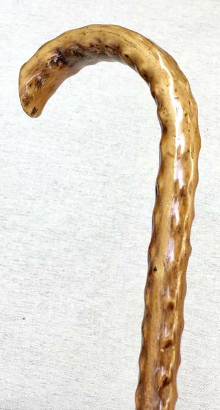 Vintage Antique 1800 ' Irish Blackthorn Crook Handle Walking Stick Cane Old 4