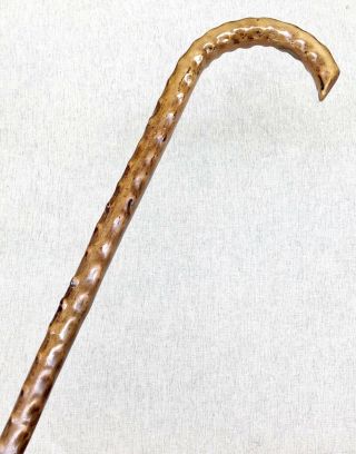 Vintage Antique 1800 ' Irish Blackthorn Crook Handle Walking Stick Cane Old 7