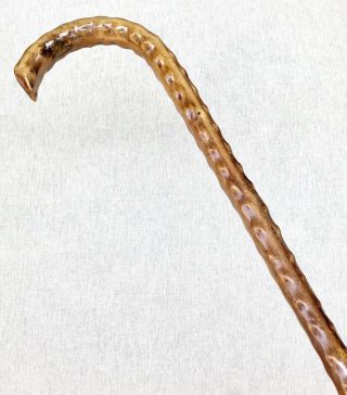 Vintage Antique 1800 ' Irish Blackthorn Crook Handle Walking Stick Cane Old 8