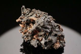 RARE Aguilarite & Native Silver SAN CARLOS,  MEXICO - Ex.  Museum 5