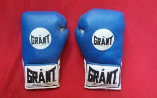 Vintage Grant Boxing Autographed 16oz Gloves