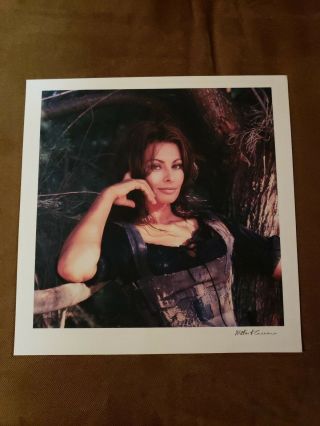 Vintage Milton H.  Greene Signed Sophia Loren Artist Proof Photograph Print