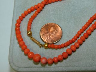 Victorian Salmon Coral Dainty Graduated 14k Gold 19 " Necklace 11.  5 Grams 3i 14