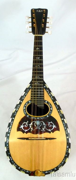 Italy Antique Bowlback Mandolin,  Solid Spruce Top Rosewood,  Obmln241