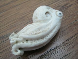 Very Unusual Hand Carved Marine Scrimshaw Sculpture Of An Octopus In Deer Bone