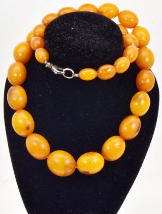 Antique 19th C.  Russian Natural Egg Yolk Butterscotch Amber Necklace.  Silver Clasp