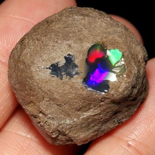 62.  55ct 100 Natural Found African Black Opal Facet Rough Specimen Yhp766