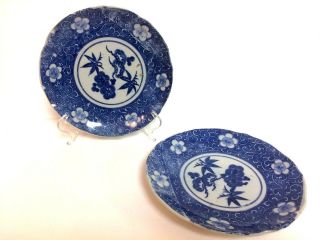 Antique Japanese Blue & White Porcelain Plates