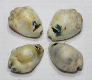 Viking Beads Ancient Big Shells 4 Pc Shell Pendants