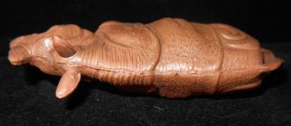 Vintage JAPAN Celluloid Rattle Brown Rhinoceros 5 