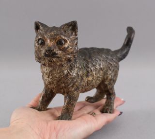 Antique Painted 7 - Inch Miniature Austrian Geschutz Bronze Kitten Cat Sculpture