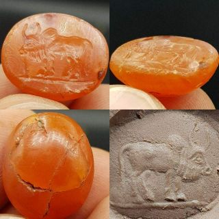 Roman Ancient Unique Rare Agate Cow Intaglio Seal Stone 45