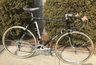 Vintage 1979 Raleigh Competition G.  S.  Campagnolo Full Reynolds 531 Bicycle 23.  5”