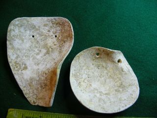 Extremely Rare Shell Weeping Eye Mask Indian Artifacts / Arrowheads 5